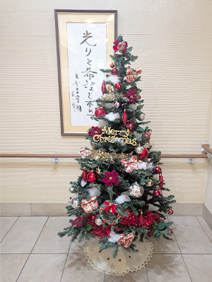 クリスマスツリーの写真